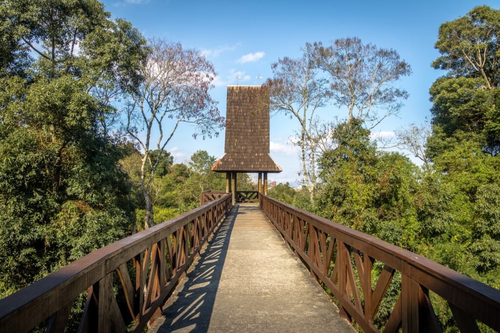 Philosophers Tower at Bosque Alemao (German Forest Park) - Curitiba, Parana, Brazil