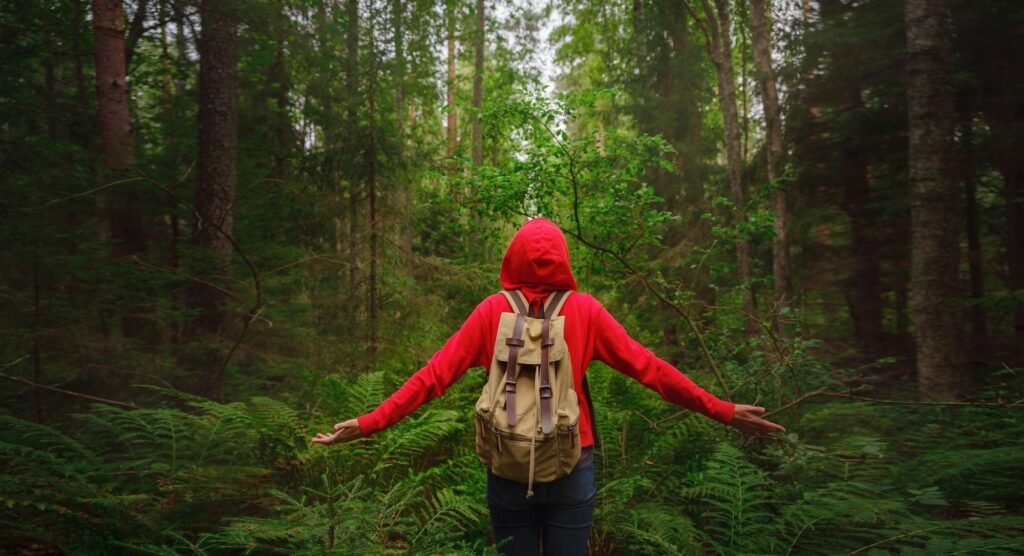 journey in summer Russia, Komarovo village, ecological trail Komarovsky coast.