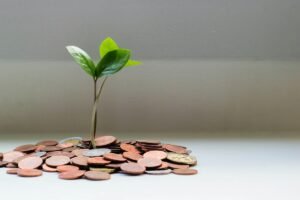 quanto ganha um nomade digital por mes renda online